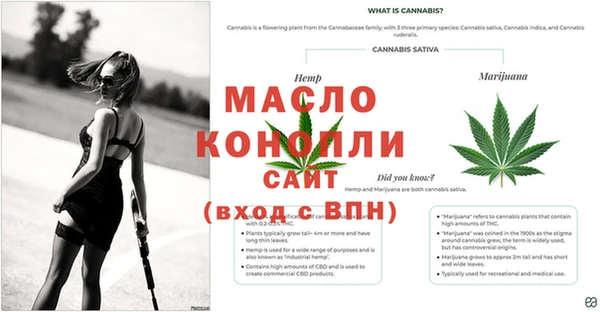 гашик Пестово