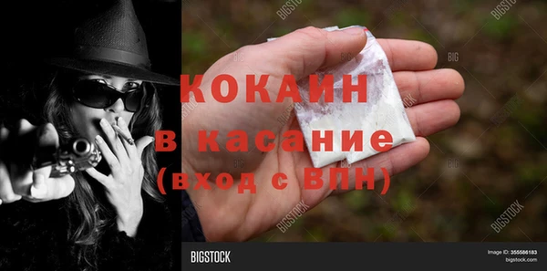 гашик Пестово