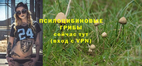 бошки Абинск