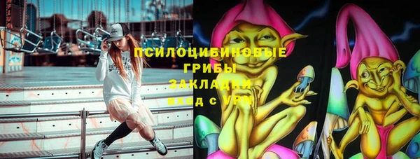 индика Беслан