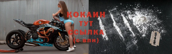 гашик Пестово